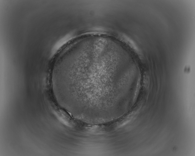 X0000092001352200709271459