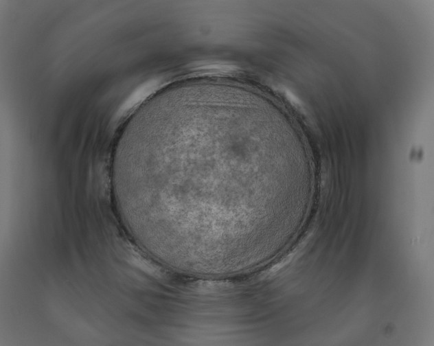 X0000092001354200709271459