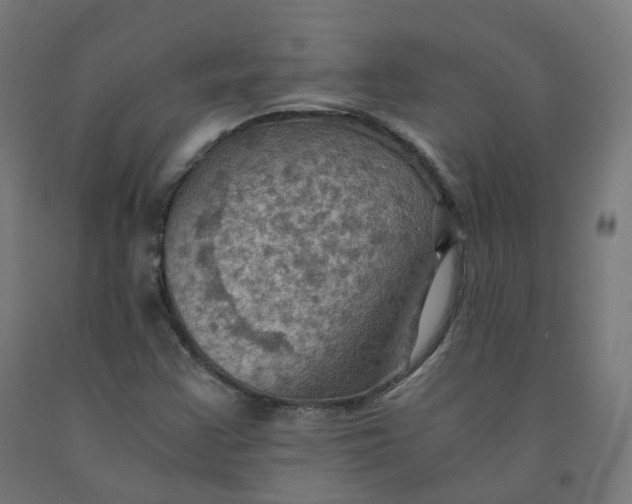 X0000092001355200709271459