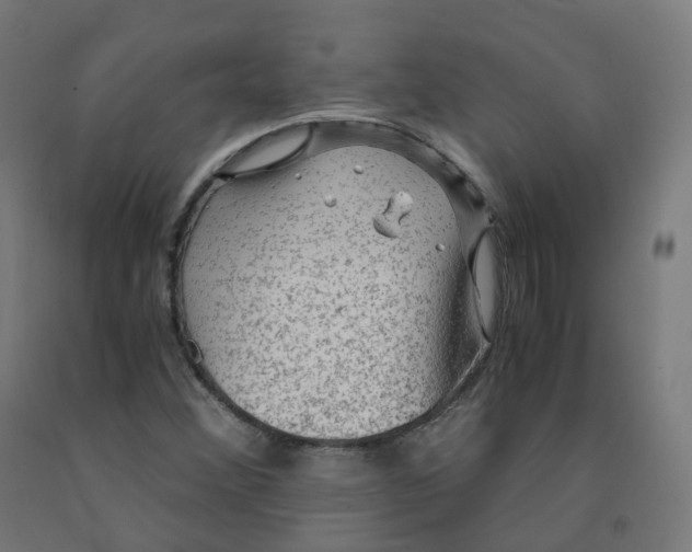 X0000092001356200709271459