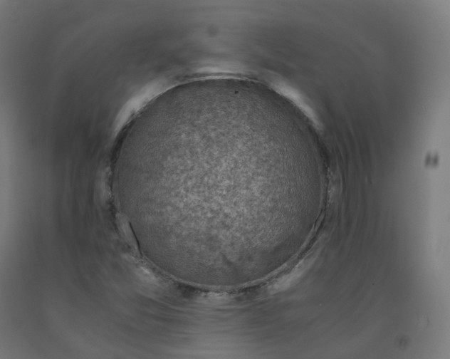 X0000092001357200709271459