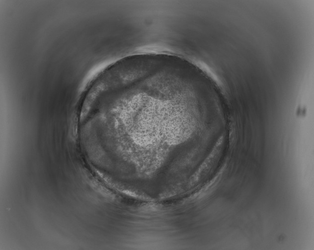 X0000092001358200709271459