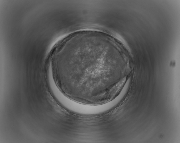 X0000092001360200709271459