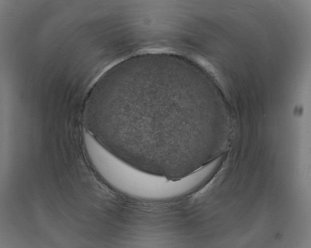 X0000092001361200709271459