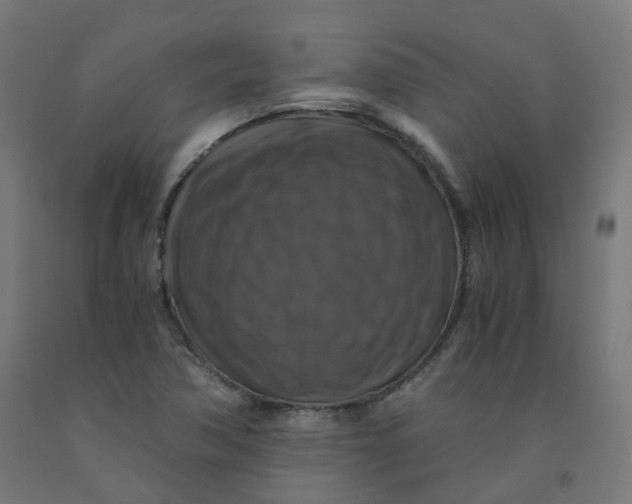 X0000092001362200709271459