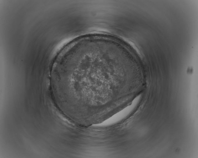 X0000092001363200709271459