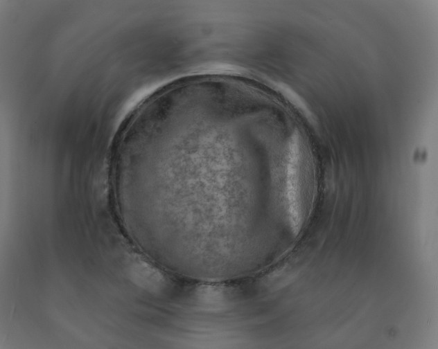 X0000092001364200709271459