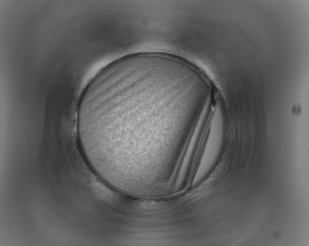 X0000092001366200709271459