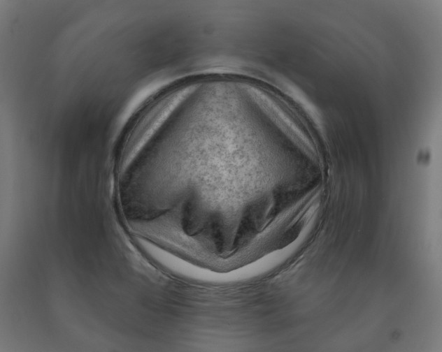 X0000092001368200709271459