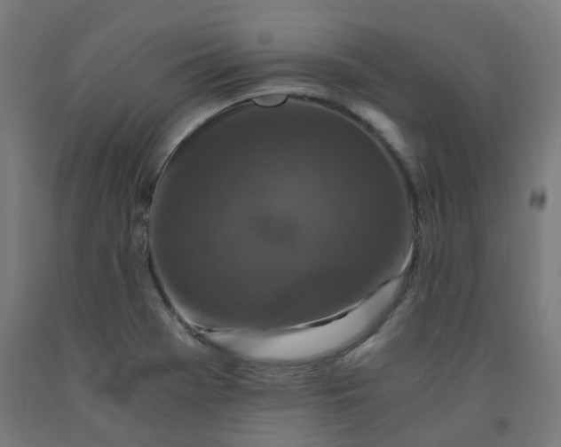 X0000092001369200709271459