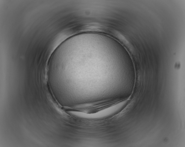 X0000092001370200709271459