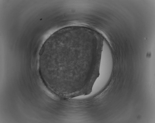 X0000092001371200709271459