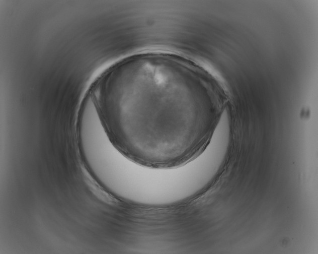 X0000092001372200709271459