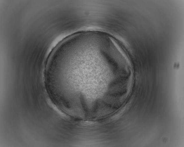 X0000092001374200709271459