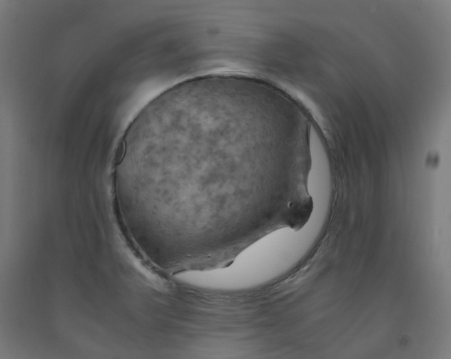 X0000092001375200709271459