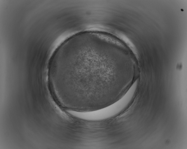 X0000092001376200709271459