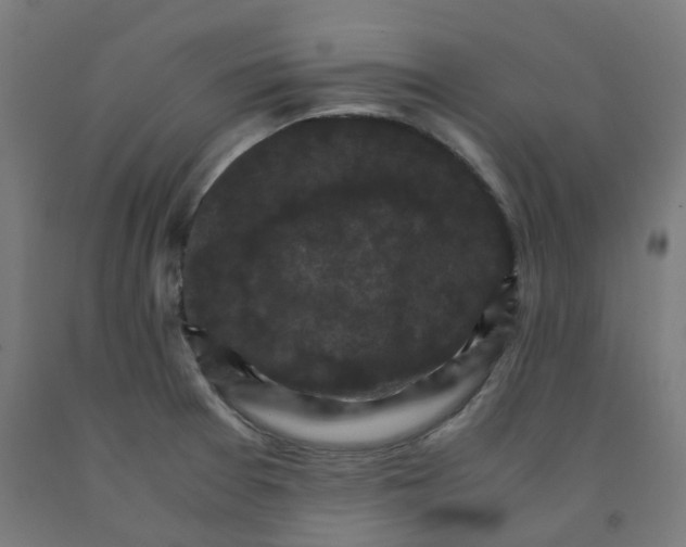 X0000092001377200709271459