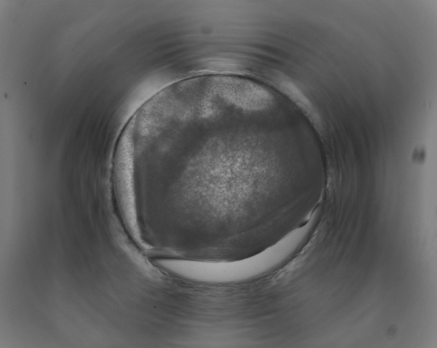 X0000092001378200709271459