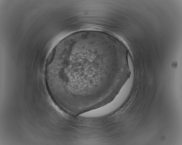 X0000092001379200709271459