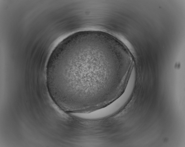 X0000092001380200709271459