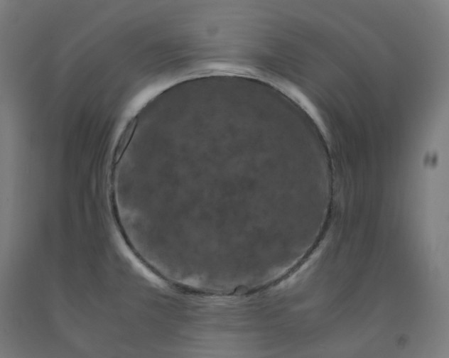 X0000092001381200709271459