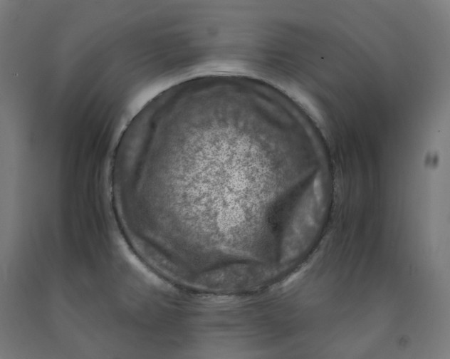 X0000092001382200709271459