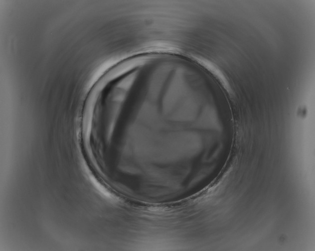 X0000092001383200709271459