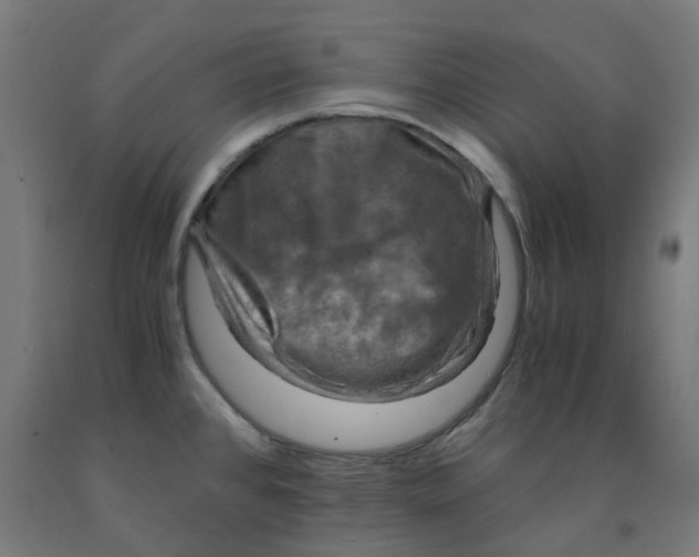 X0000092001384200709271459