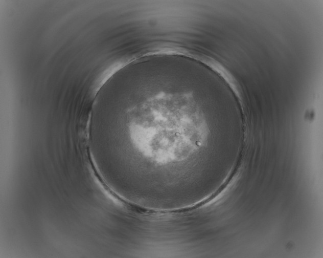 X0000092001385200709271459