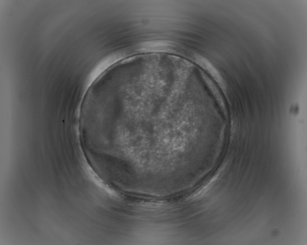 X0000092001386200709271459