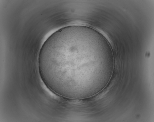 X0000092001387200709271459