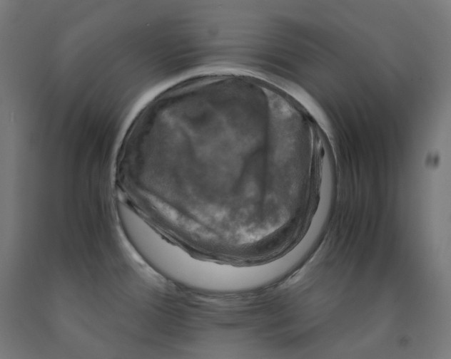 X0000092001388200709271459