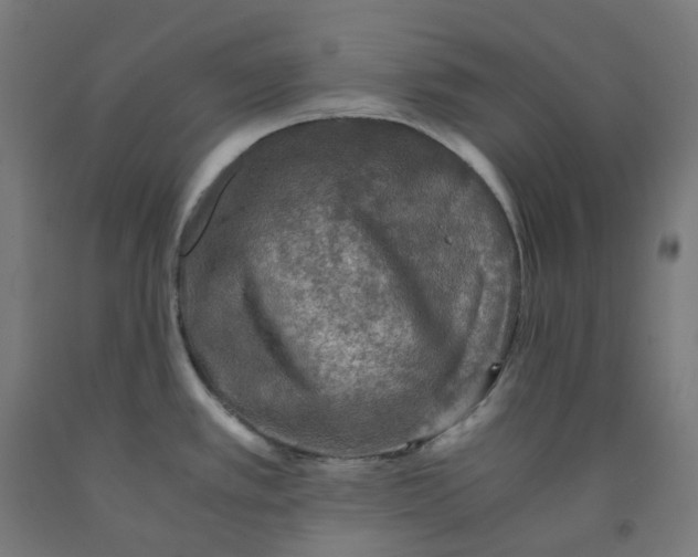 X0000092001389200709271459