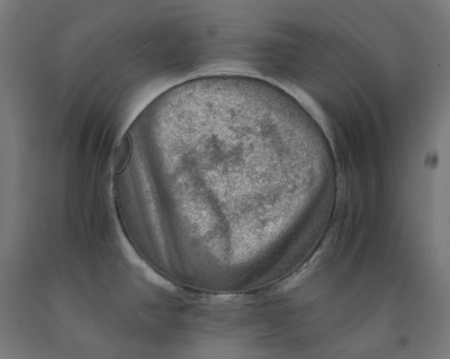 X0000092001390200709271459