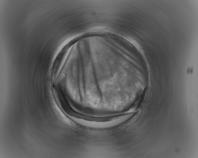 X0000092001392200709271459