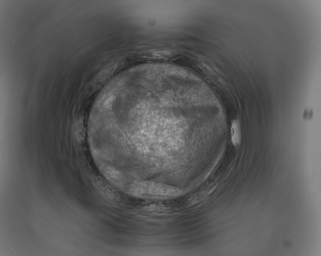 X0000092001395200709271458