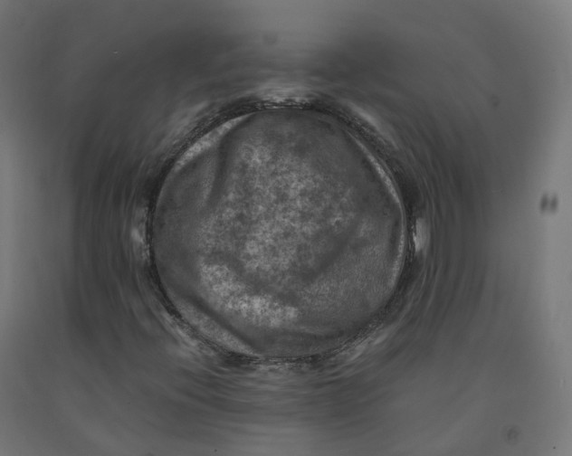 X0000092001396200709271458