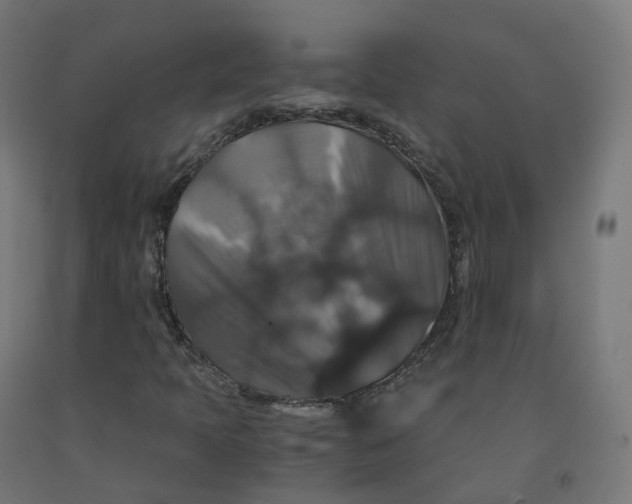 X0000092001397200709271458