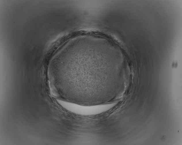 X0000092001398200709271458