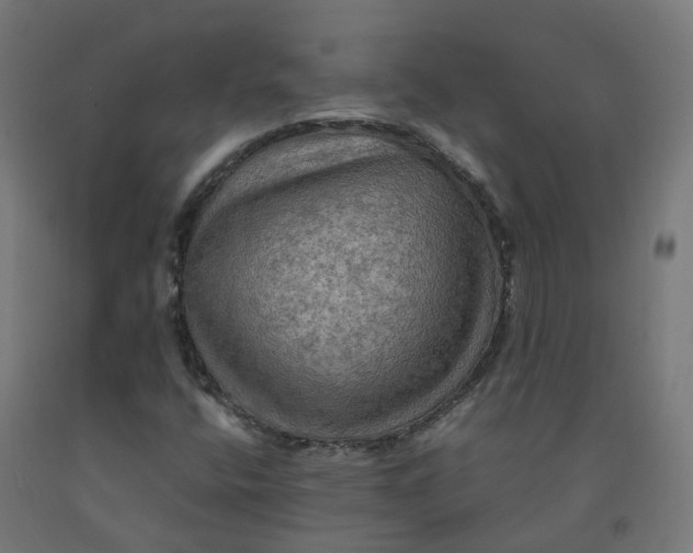 X0000092001400200709271458