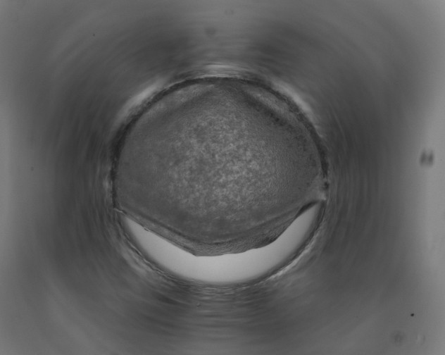 X0000092001403200709271458