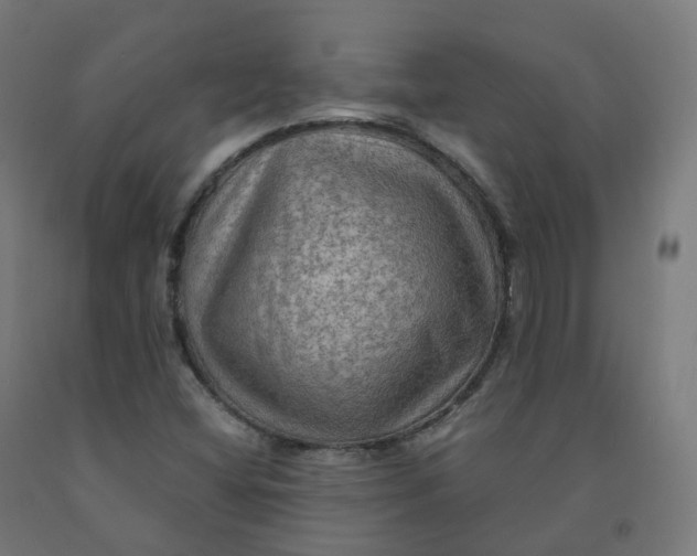 X0000092001404200709271458