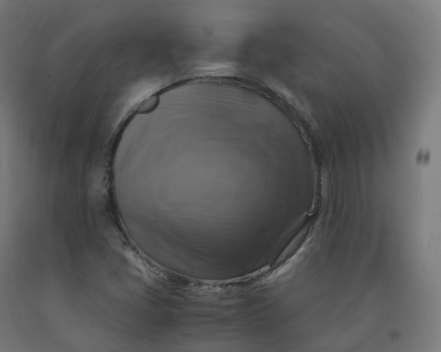 X0000092001405200709271458