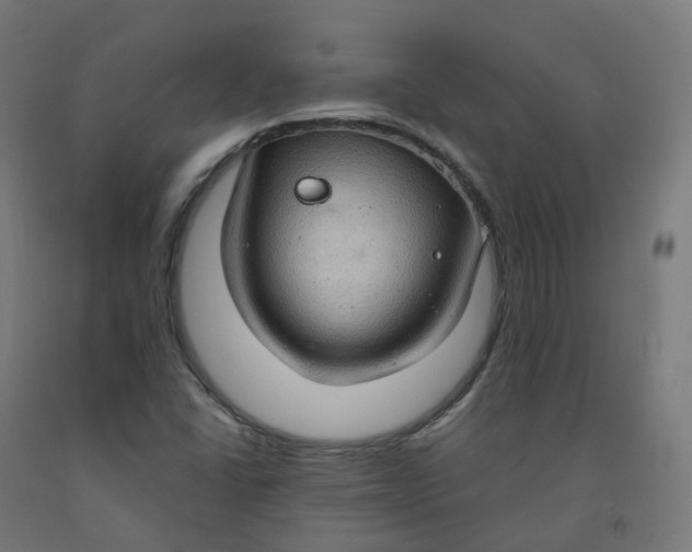 X0000092001406200709271458