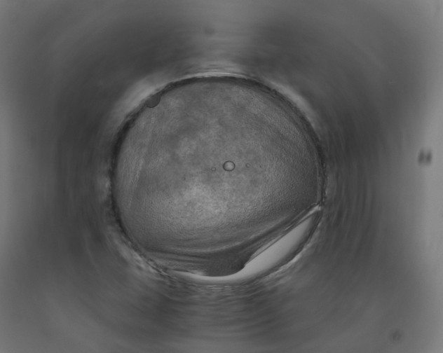 X0000092001407200709271458