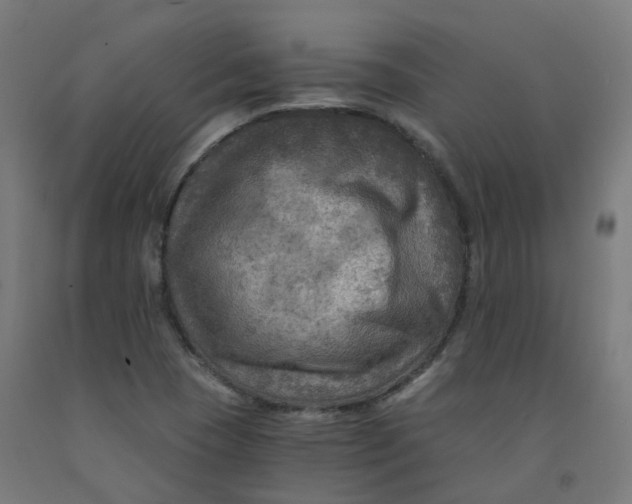 X0000092001409200709271458