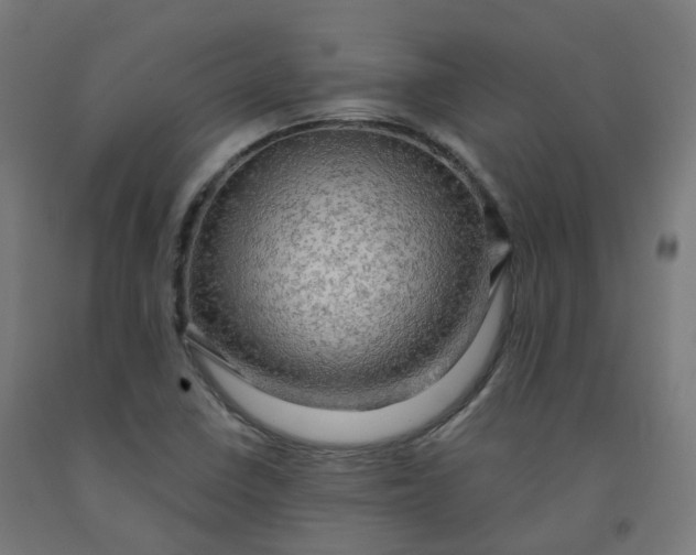 X0000092001410200709271458