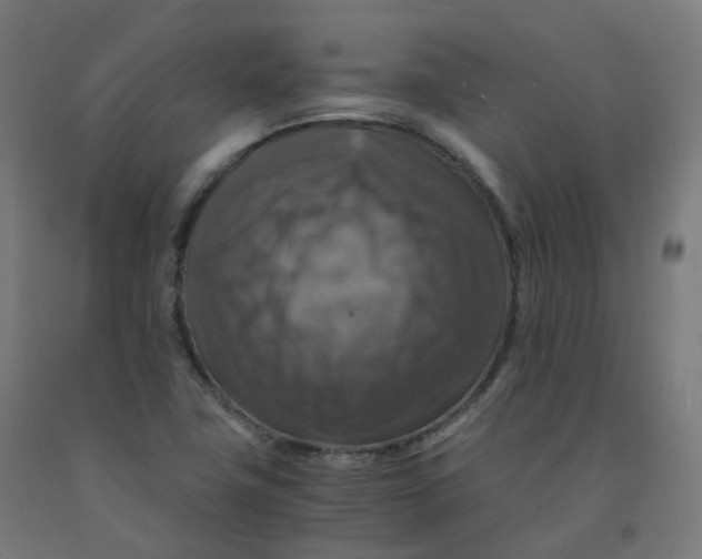 X0000092001411200709271458