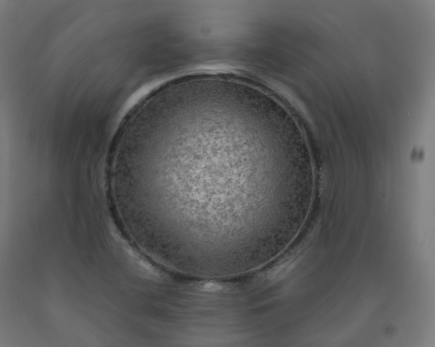 X0000092001412200709271458