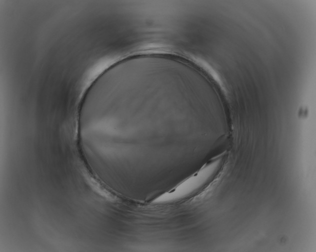 X0000092001413200709271458